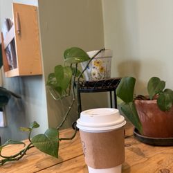 Doppio Bunny Coffee - Purcellville