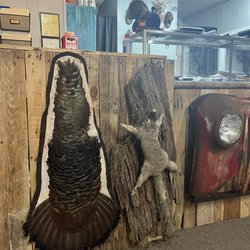Mounted real turkey and squirrel !