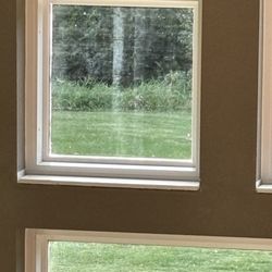 The Window Source