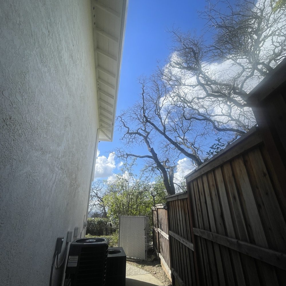 Donis Tree Service - After - Tree Services Near Me Donis Tree Service - After - Tree Services Near Me