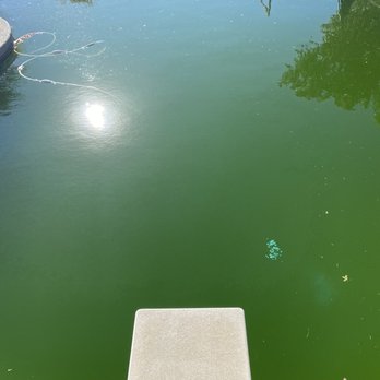 Perfect Pool & Spa - My pool I was told there's nothing wrong with. - Pool Cleaners Near Me - Redding, California