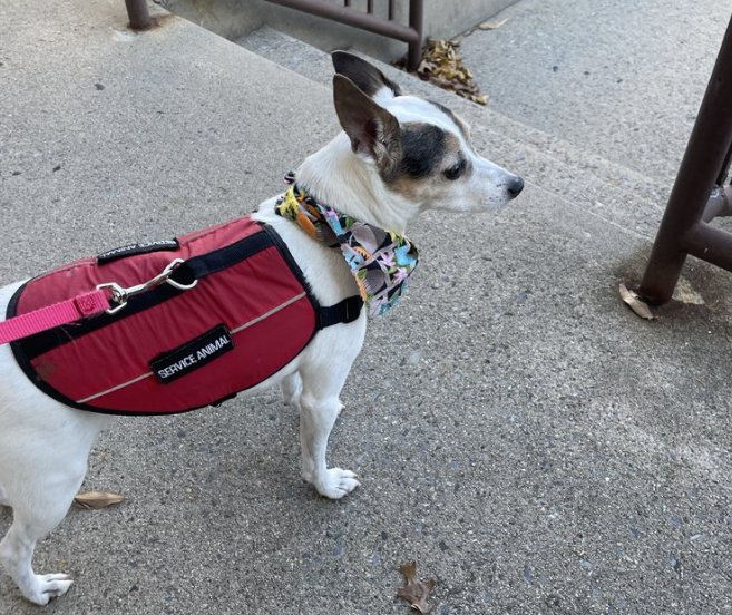 Harford Laurie D PSY. D - grief counselor in Allentown, PA