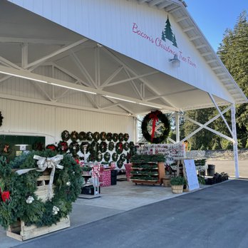 Bacon's Christmas Tree Farm - We are ready for visitors! - Christmas Trees Near Me - Bremerton, Washington Bacon's Christmas Tree Farm - We are ready for visitors! - Christmas Trees Near Me - Bremerton, Washington