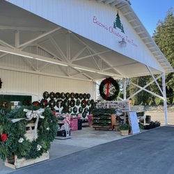 Bacon's Christmas Tree Farm - We are ready for visitors!