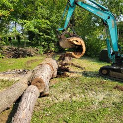 Farley Forest and Soil - Tree removal in progress