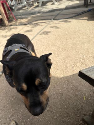 Baby Acapulco by null