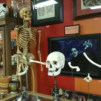 Bearded Lady Vintage And Oddities - Nosferatu - Used, Vintage & Consignment Near Me - Burbank, California Bearded Lady Vintage And Oddities - Nosferatu - Used, Vintage & Consignment Near Me - Burbank, California