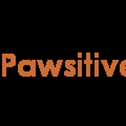 Pawsitive Pets