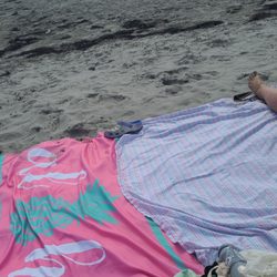 Clam Harbour Beach