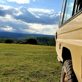 bo events - Game Drive im Aberdare Nationalpark - Party & Event Planning Near Me - Riedstadt, HE
