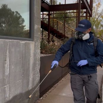 Cobra Property Services - Pest Control Near Me - Las Vegas, Nevada Cobra Property Services - Pest Control Near Me - Las Vegas, Nevada
