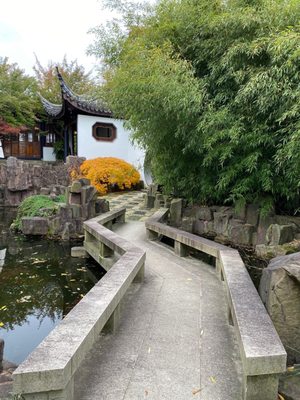 New York Chinese Scholar's Garden, Snug Harbor Cultural Center by null