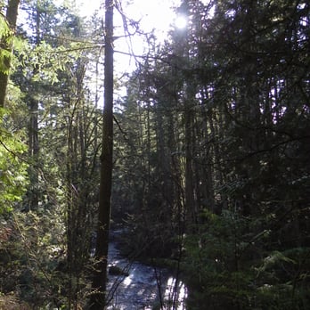 Whatcom Falls Park - Dog Parks Near Me - Bellingham, Washington