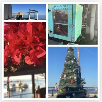 Catalina Island - I have one simple wish today. I wish that my friends around the world feel happy, safe, and loved. Happy December! - Local Flavor Near Me Catalina Island - I have one simple wish today. I wish that my friends around the world feel happy, safe, and loved. Happy December! - Local Flavor Near Me