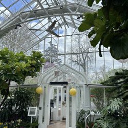 Wilder Park Conservatory - Small but mighty