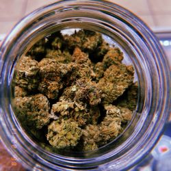 House of OG's and Oz - 12G 8THS TOPSHELF