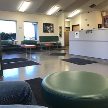 nw veterinary specialists