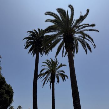 Palisades Park - Parks Near Me Palisades Park - Parks Near Me