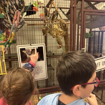 Scatter Joy Acres - Petting Zoos Near Me - Murray, Nebraska Scatter Joy Acres - Petting Zoos Near Me - Murray, Nebraska