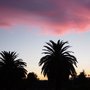 Twin Palms Ranch Bed & Breakfast