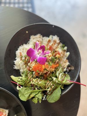Makai Sushi by null