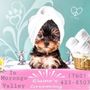 Photo of Elaine's Grooming