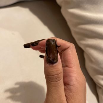 Lee Nails - Fu*kup - Nail Salons Near Me - Chicago, Illinois