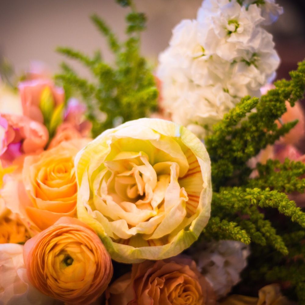 The Petal Workshop - Florists Near Me