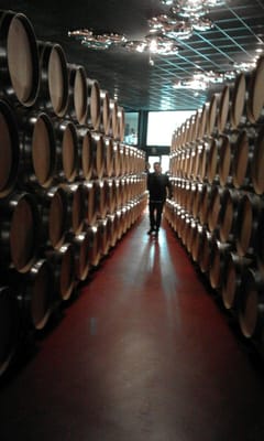 Bodegas Marqués de Cáceres by null