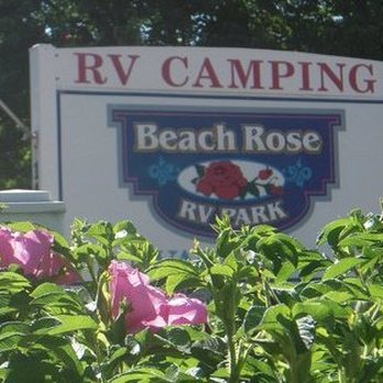Beach Rose RV Park - RV Parks Near Me - Salisbury, Massachusetts