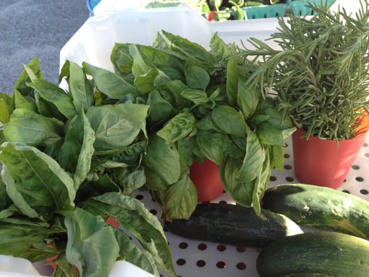Govans Farmers' Market by null