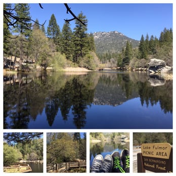 Woodland Park Manor - picnic area in idyllwild - Bed & Breakfast Near Me - Idyllwild, California Woodland Park Manor - picnic area in idyllwild - Bed & Breakfast Near Me - Idyllwild, California