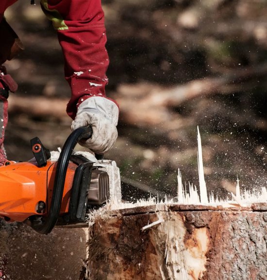 Indiana Tree Service - tree service in Indianapolis, IN