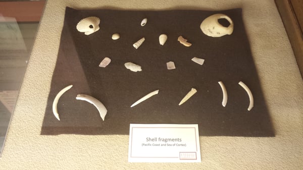 Verde Valley Archaeology Center and Museum by null