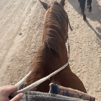 Wild West Horseback Adventures - Gunner - Horseback Riding Near Me - Las Vegas, Nevada Wild West Horseback Adventures - Gunner - Horseback Riding Near Me - Las Vegas, Nevada