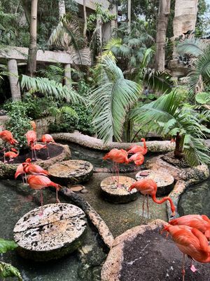 The Dallas World Aquarium by null