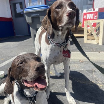 Beachin’ Biscuits - Getting spoiled by the workers - Breakfast & Brunch Near Me - Pismo Beach, California