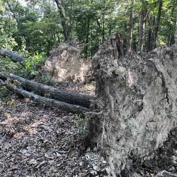 Shaddox Hollow Nature Trail - Tornado damage - Hiking Near Me - Rogers, Arkansas Shaddox Hollow Nature Trail - Tornado damage - Hiking Near Me - Rogers, Arkansas