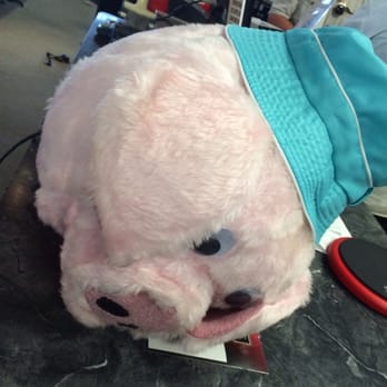 Music Center Inc. - Welcome to WI...a guy walked in with a pigs head. And no it's not a joke. - Musical Instruments & Teachers Near Me - Kenosha, Wisconsin Music Center Inc. - Welcome to WI...a guy walked in with a pigs head. And no it's not a joke. - Musical Instruments & Teachers Near Me - Kenosha, Wisconsin