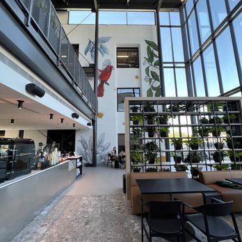 Provision - Coffee & Tea Near Me - Phoenix, Arizona