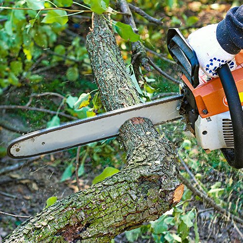 A&S Lawn Care - tree service in Sioux Falls, SD