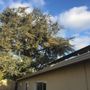 Peninsula Tree Care