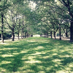 Park Wielkopolski
