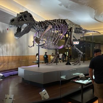 Field Museum - Museums Near Me - Chicago, Illinois