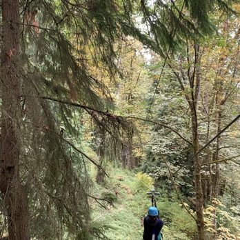 Bellevue Zip Tour - Ziplining Near Me - Bellevue, Washington