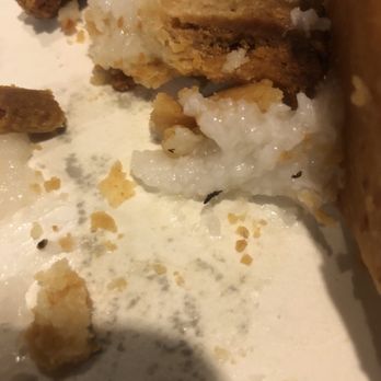 Holy's Bakery - More bugs... - Bakeries Near Me - Kapaau, Hawaii