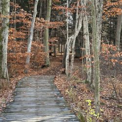 Beaver Lake Nature Center