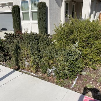 System Pavers - Before, wild and unruly like my toddler - Masonry/Concrete Near Me - Stockton, California