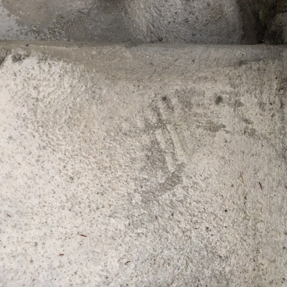 Motta Brickwork - Shoe print Mottas employees left on the steps - Masonry/Concrete Near Me - clifton heights, Pennsylvania Motta Brickwork - Shoe print Mottas employees left on the steps - Masonry/Concrete Near Me - clifton heights, Pennsylvania
