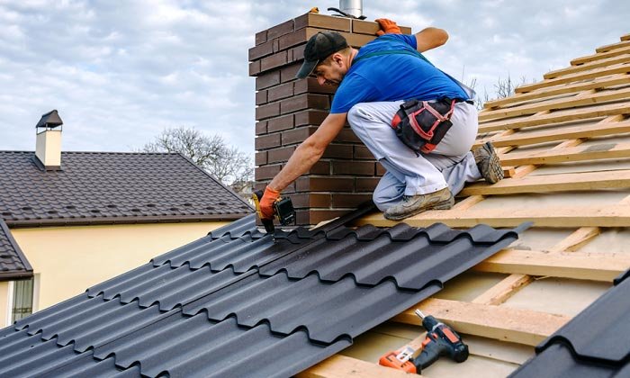 Slide of Roof Monkey